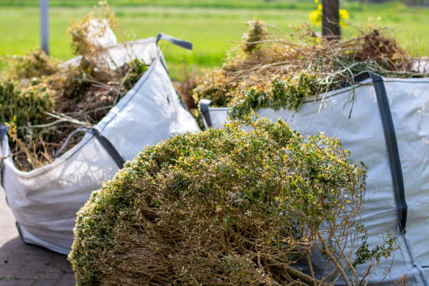 Best Yard Waste Removal  in Junction City, OR