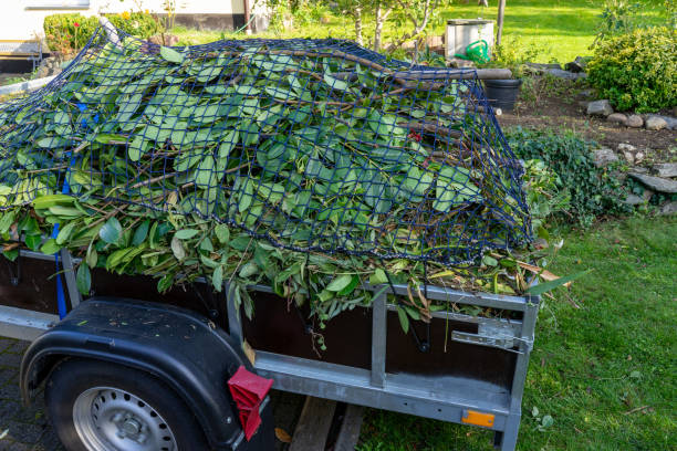 Best Scrap Metal Removal  in Junction City, OR